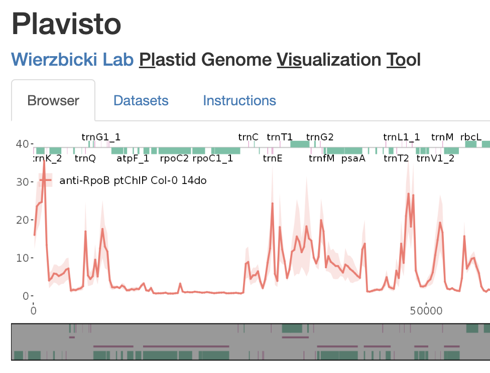 PlaVisTo (Plastid-genome Visualization Tool).